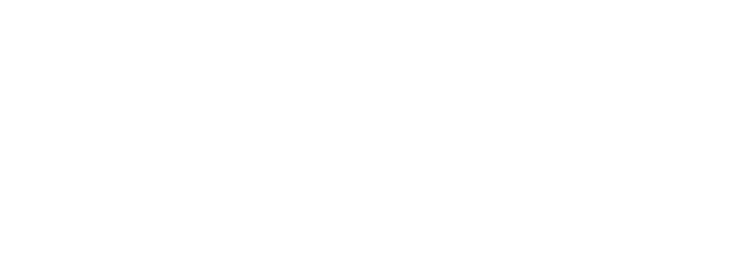 DD Logo